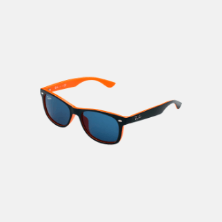 Wayfarer Sunglasses