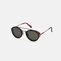 Wayfarer Sunglasses